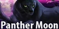 panther-moon