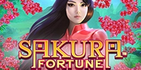 sakura-fortune